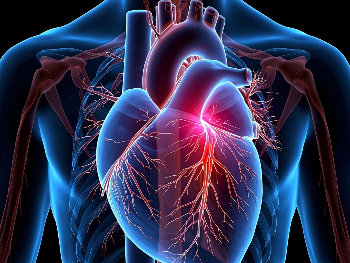 Comfortable non-invasive ear contact