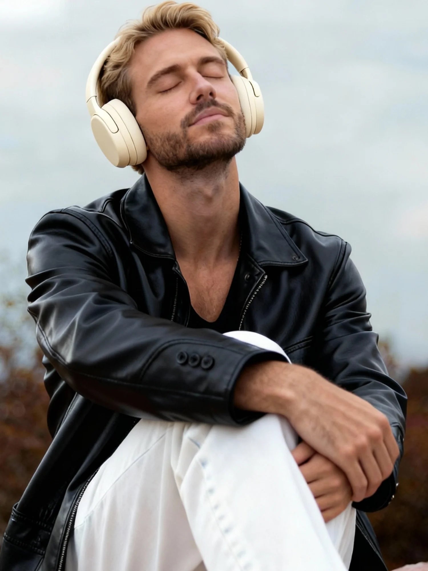 Partners working with DreamPhones